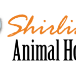 Shirlington Animal Hospital gallery