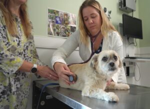 doctor-with-patient